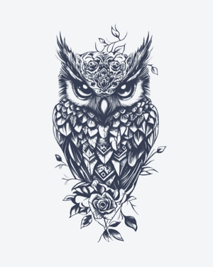 Enchanted Owl