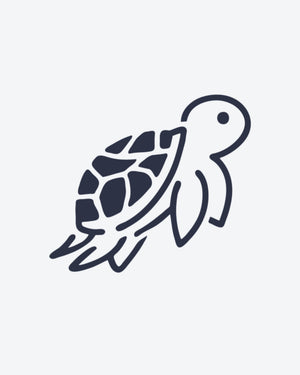 Little Turtle
