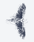Tatouage temporaire Aigle en Vol 18x11cm - SimpleTatt