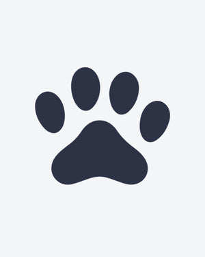 Wild Footprint