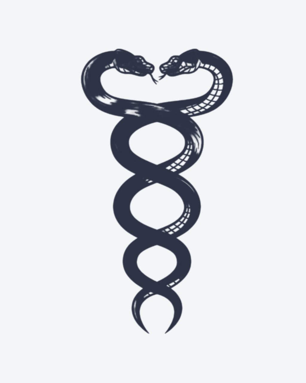 Tatouage temporaire Serpents Jumeaux 8x11cm - SimpleTatt