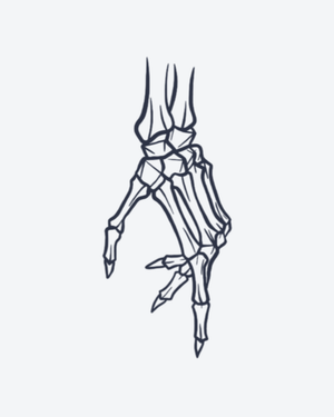 Skeletal Hand