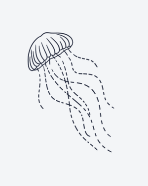 Fine jellyfish