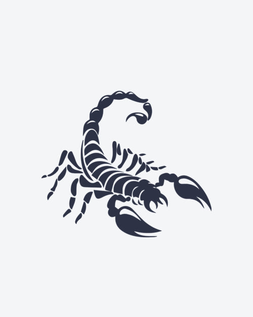 Tatouage temporaire Scorpion Noir 5x5cm - SimpleTatt