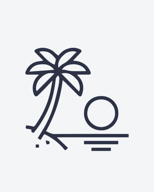 Beach and Coconut Tree