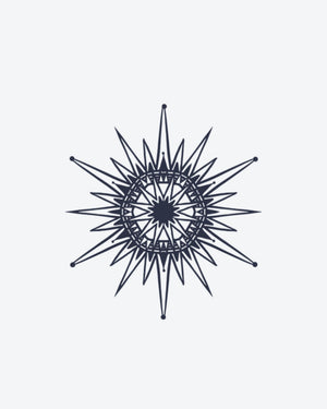 Cosmic Star