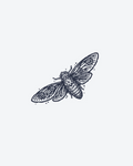 Tatouage temporaire Papillon seul 3x5cm - SimpleTatt