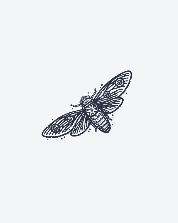 Papillon seul